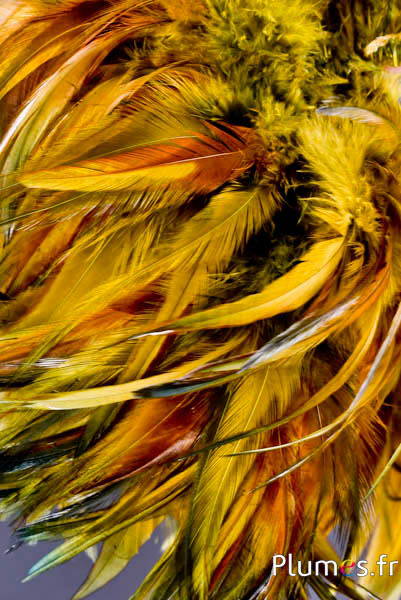 Franges en plumes